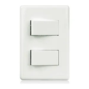 INTERRUPTOR X 2 TECLAS